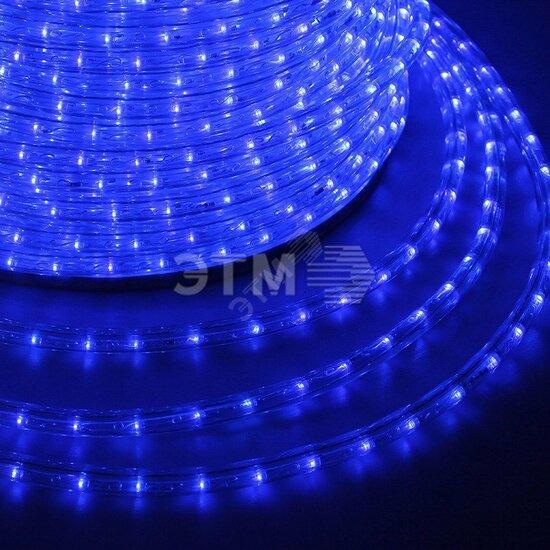 Фото №2 Дюралайт профессиональный LED, постоянное свечение (2W) - синий, 24 LED/м, ?10мм, бухта 100м (121-123-3)