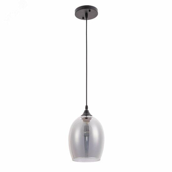 Фото №2 Светильник Arte Lamp PROPUS A4344SP-1BK (A4344SP-1BK)