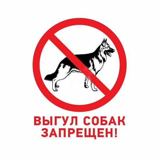 Фото №2 Табличка запрещающий знак Выгул собак запрещен 200х200 мм (etm56-0039-2)