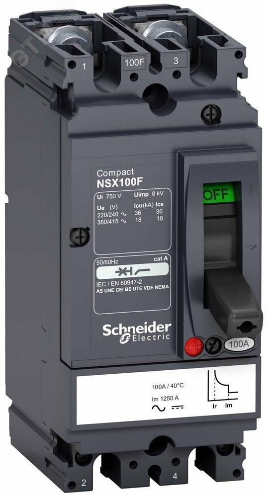 Фото №5 Выключатель автоматический двухполюсный NSX100F 100A AC/DC (LV438600)