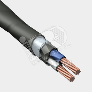 Фото №2 Кабель силовой ВБШв 2х25мк(N)-1 ТРТС