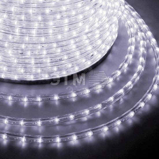 Фото №2 Дюралайт профессиональный LED, постоянное свечение (2W) - белый    Эконом 24 LED/м , бухта 100м (121-125-4)
