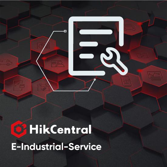 Фото №2 Разработка (стоимость инженер-день) (HikCentral-E-Industrial-Service)