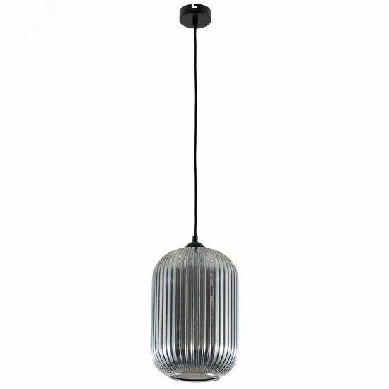 Фото №2 Светильник Arte Lamp ARWEN A1903SP-1BK (A1903SP-1BK)