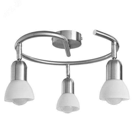 Фото №2 Спот Arte Lamp FALENA A3115PL-3SS (A3115PL-3SS)