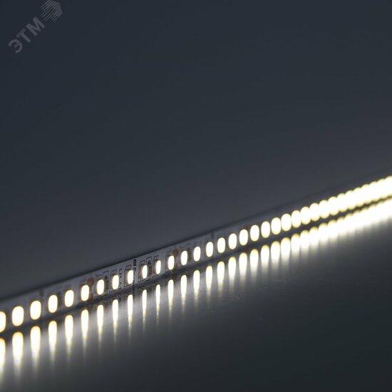 Фото №2 Лента светодиодная LEDх60/м 5м 6w/m 24в белый (LS500)