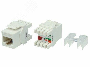 Фото №2 Вставка KJ8-8P8C-C5e-180-WH Keystone Jack RJ-45(8P8C)категория 5eтип 180 град (KJ8-8P8C-C5e-180-WH)