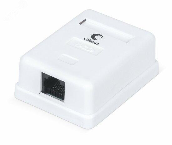 Фото №2 Розетка компьютерная RJ-45, категория 5e, одинарная, внешняя, Dual IDC (WS-8P8C-Cat.5e-1)