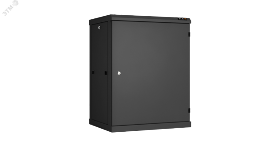 Фото №2 Шкаф настенный разбор TLK 19д 15U металлическая дверь Ш600хВ770хГ450мм черный (TWC-156045-R-M-BK)