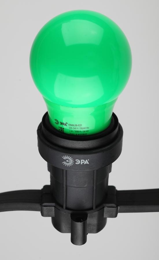 Фото №5 Лампа светодиодная для Белт-Лайт диод. груша зел., 13SMD, 3W, E27 ERAGL50-E27 ЭРА LED A50-3W-E27 ЭРА (Б0049579)