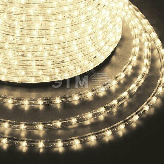 Фото №2 Дюралайт профессиональный LED, постоянное свечение (2W) - ТЕПЛЫЙ БЕЛЫЙ Эконом 24 LED/м , бухта 100м (121-126-4)