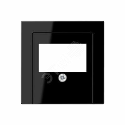 Фото №2 Накладка для USB розетки (ТАЕ гнезда)  Серия A500  Материал- дуропласт  Цвет- черный (A569PLTSW)