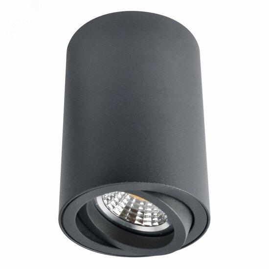 Фото №2 Светильник Arte Lamp SENTRY A1560PL-1BK (A1560PL-1BK)