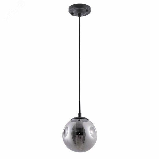 Фото №2 Светильник Arte Lamp TUREIS A9915SP-1BK (A9915SP-1BK)