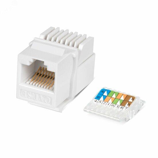 Фото №2 Вставка Keystone Jack RJ-45(8P8C), категория 5e, без инструмента Toolless, белая (KJ-RJ45-Cat.5e-Toolless)