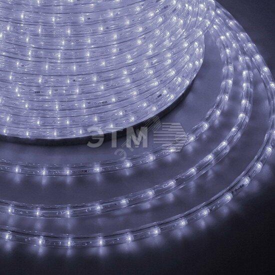 Фото №2 Дюралайт профессиональный LED, эффект мерцания (2W) - белый Эконом 24 LED/м , бухта 100м (121-255-4)