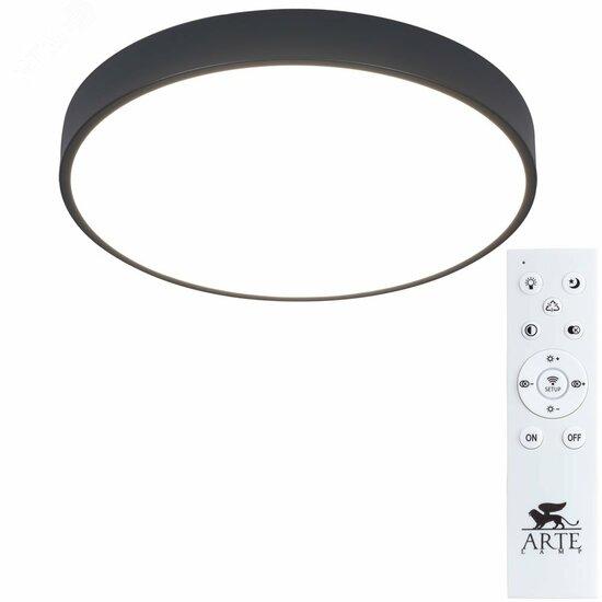 Фото №2 Светильник Arte Lamp ARENA A2661PL-1BK (A2661PL-1BK)