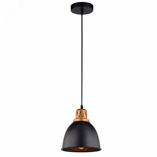 Фото №2 Светильник Arte Lamp EURICA A4245SP-1BK (A4245SP-1BK)