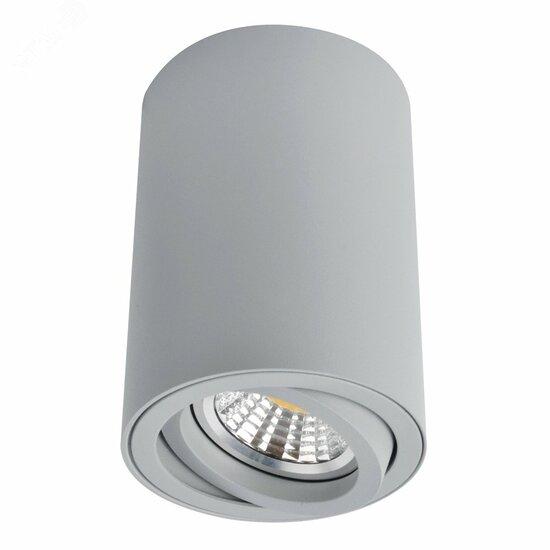 Фото №2 Светильник Arte Lamp SENTRY A1560PL-1GY (A1560PL-1GY)