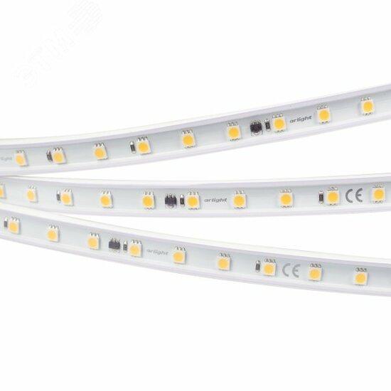 Фото №2 Лента LED ARL-50000PV-5060-54-230V Cool10000 (15mm, 8W, IP65) (ARL, 8 Вт/м, IP65) (027055(1))