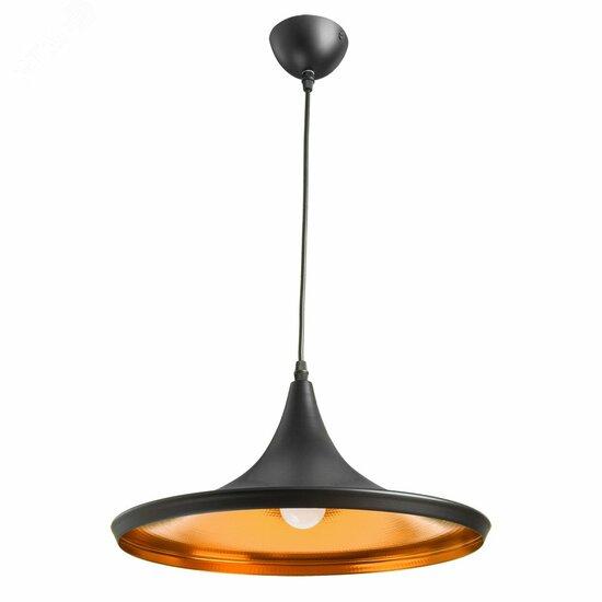 Фото №2 Светильник Arte Lamp CAPPELLO A3406SP-1BK (A3406SP-1BK)