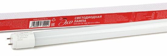 Фото №2 ECO LED T8-10W-865-G13-600mm ЭРА (диод,трубка стекл,10Вт,хол,непов. G13) (25/1225) (Б0032975)