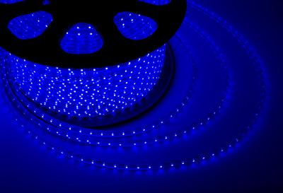 Фото №2 Лента уличная LED герметичная в силиконовой оболочке 220В 13х8мм IP65 SMd5050 60 диодов/метр cиний (бухта 50м) (142-103)