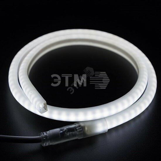Фото №2 Гибкий Неон профессиональный LED SMD, форма - D, белый, 120 LED/м,  бухта 100м (131-075)