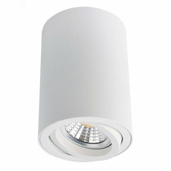 Фото №2 Светильник Arte Lamp SENTRY A1560PL-1WH (A1560PL-1WH)