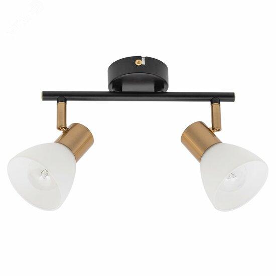 Фото №2 Спот Arte Lamp FALENA A3117PL-2BK (A3117PL-2BK)