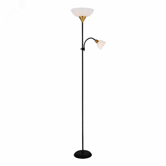 Фото №2 Торшер Arte Lamp DUETTO A9569PN-2BK (A9569PN-2BK)