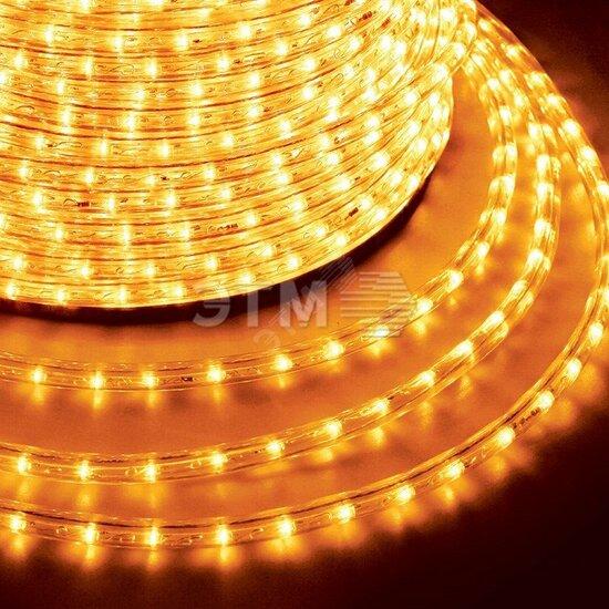 Фото №2 Дюралайт профессиональный LED, постоянное свечение (2W) - желтый Эконом 24 LED/м , бухта 100м (121-121-4)