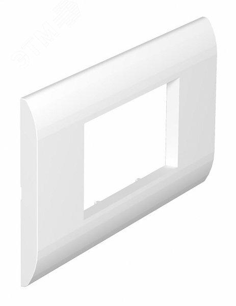 Фото №2 Декоративная рамка S990 для боксов Telitank двойная (белый) (S990-AF2 RW)