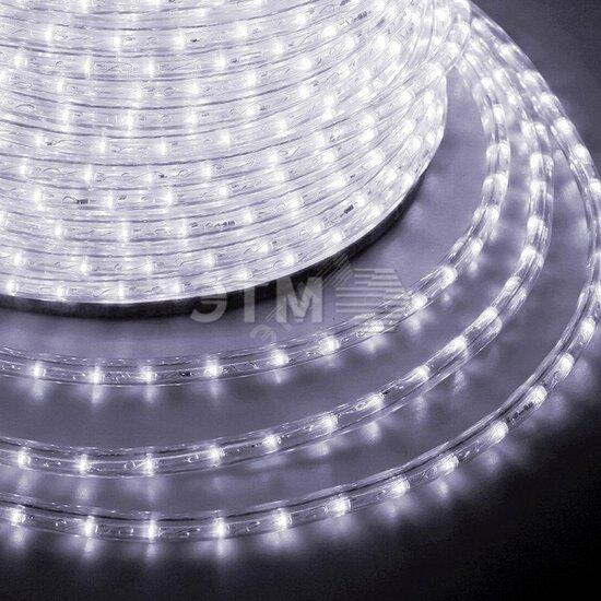 Фото №2 Дюралайт профессиональная LED, свечение с динамикой (3W) - белый Эконом 24 LED/м , бухта 100м (121-325-4)