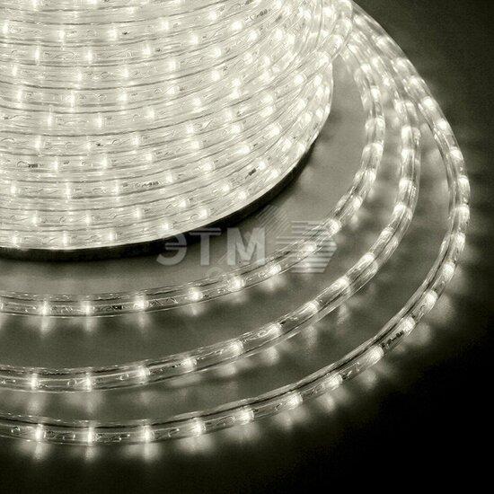 Фото №2 Дюралайт LED профессиональная, эффект мерцания (2W) - ТЕПЛЫЙ БЕЛЫЙ, 36 LED/м, бухта 100м (121-256)