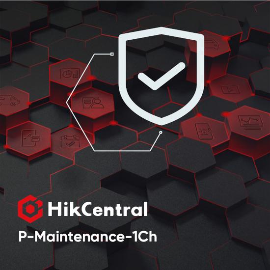 Фото №2 Обслуживание системы, пакет расширения. Требуется: HikCentral-P-Maintenance-Base. Поддержка: добавление 1 канала обслуживания (HikCentral-P-Maintenance-1Ch)