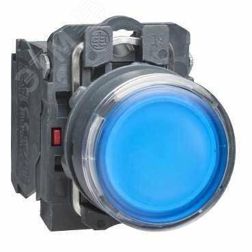 Фото №6 Кнопка синяя с подсветкой 1но/1нз 230В XB5AW36M5 (XB5AW36M5)