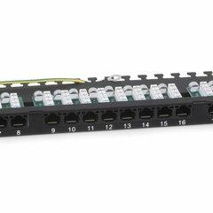 фото Патч-панель PLHD-24-Cat.5e-Dual-90-0,5U высокой плотности 19' (0,5U), 24 порта RJ-45, категория 5e, Dual IDC, 90 градусов, с задним кабельным организатором (PLHD-24-Cat.5e-Dual-90-0,5U)