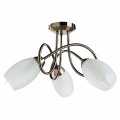 фото Люстра Arte Lamp MUTTI A8616PL-3AB (A8616PL-3AB)