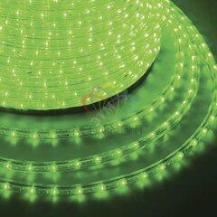 фото Дюралайт профессиональный светодиодный постоянное свечение (2W) зеленый 220В (бухта 100м) (121-124-6)
