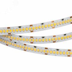 фото Лента LED RT 2-5000 24V Cool 8K 10mm (2835, 252 LED/m, LUX) (ARL, 10 Вт/м, IP20) (022654)