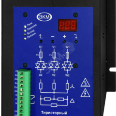 фото Тиристорный регулятор трехфазный ТРМ-3М-100 (4640016938933)