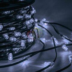 фото Гирлянда профессиональная LED ClipLight 12В 150мм белый с          трансформатором LED -LP-150-100M-12В-W бухта 100м (325-125)