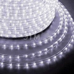 фото Дюралайт профессиональный LED, постоянное свечение (2W) - белый    Эконом 24 LED/м , бухта 100м (121-125-4)