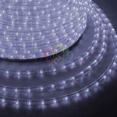 фото Дюралайт профессиональный светодиодный постоянное свечение (2W) холодный белый 220В (бухта 100м) (121-125-6)