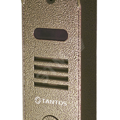 фото Вызывная панель видеодомофона, накладная, камера 800 ТВЛ PAL угол обзора 53 гр (Stich медь)