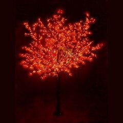 фото Фигура уличная светодиодная Дерево Сакура H3.6м диаметр кроны 3м красное IP54 понижающий трансформатор в комплекте (531-232)
