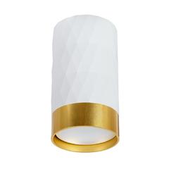 фото Точечный накладной светильник Arte Lamp FANG A5558PL-1WH (A5558PL-1WH)