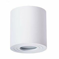 фото Светильник Arte Lamp GALOPIN A1460PL-1WH (A1460PL-1WH)