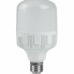 фото Лампа светодиодная LED 50W 220V E27 4000K T120 Вартон (V50014)